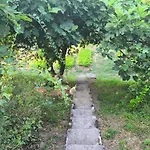Apartma Sunside Appartement