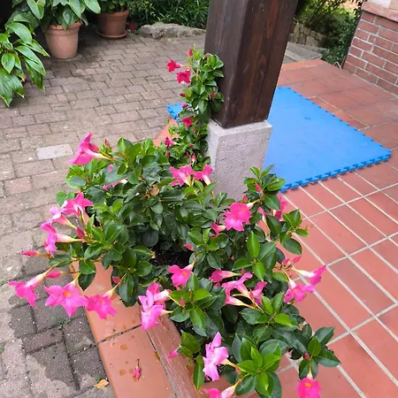 Apartma Sunside Apartment