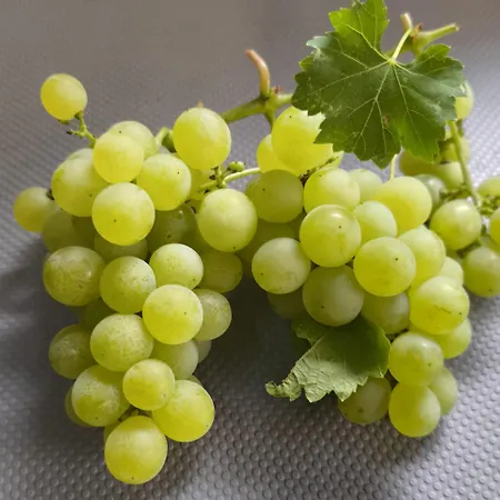 Apartman Apartma Sunside *