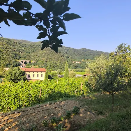 Apartma Sunside * Branik