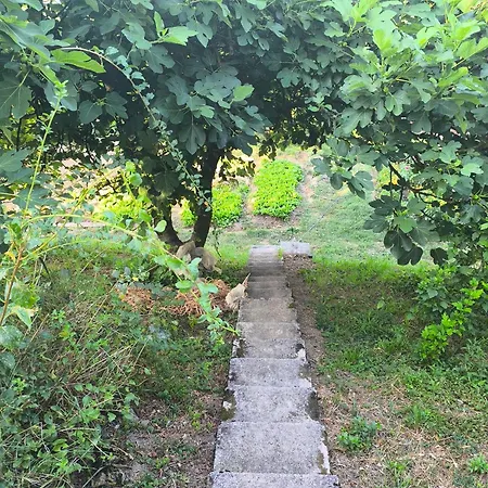 Apartma Sunside Apartman