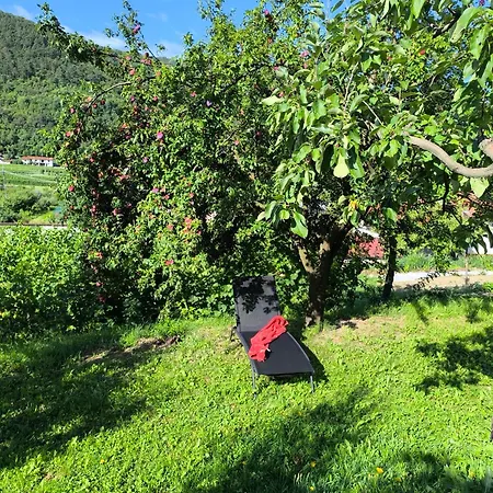 Apartma Sunside Branik