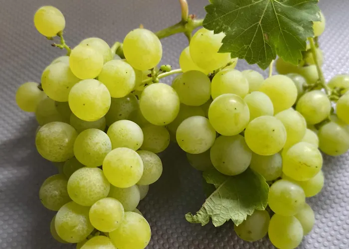 アパート Apartma Sunside *