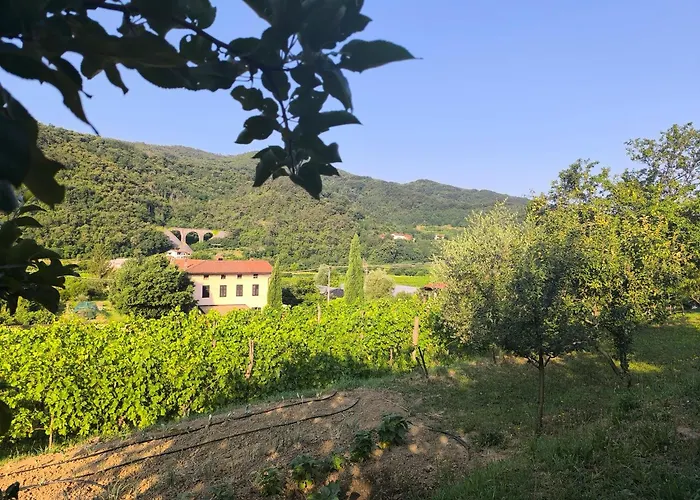 Apartma Sunside * Branik