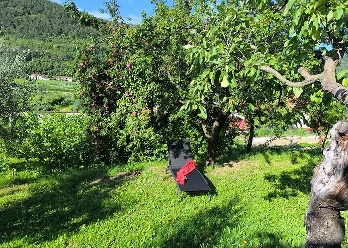 Apartma Sunside Branik